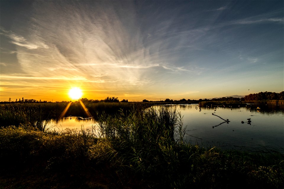 27-09-2018 Aiguamolls de l' Empordà
