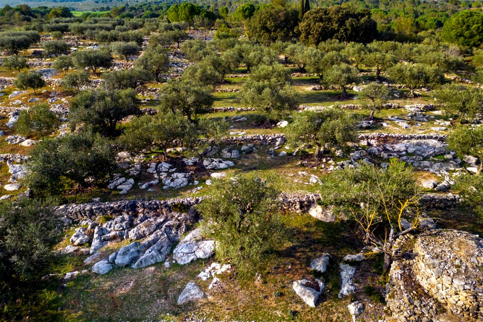 21-03-2023 La Garriga d' Avinyonet de Puigventós