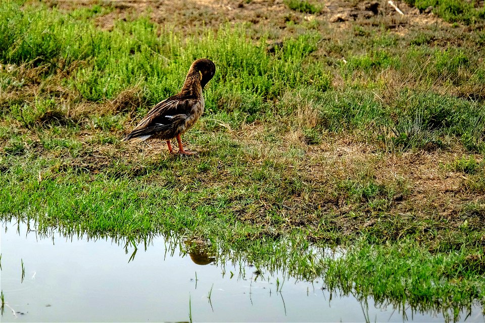 24-09-2020 Aiguamolls de l' Empordà