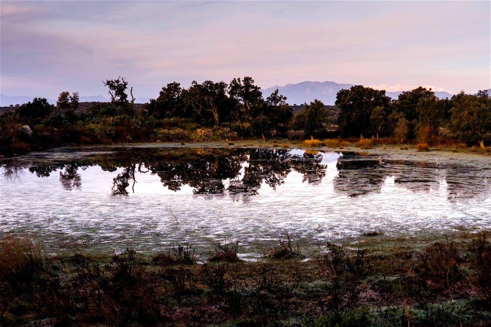 09-02-2019 Alba des de La Gutina