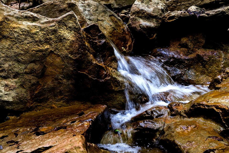 19-02-2019 Riera de Milany i Salt del Roure