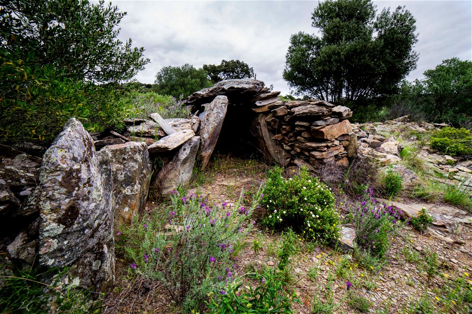 17-05-2021 Meghalític de l' Albera II