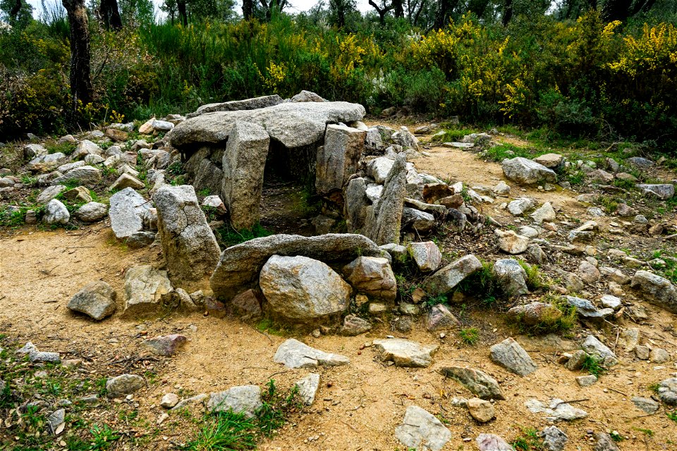 07-03-2021 Excursió per l' Albera