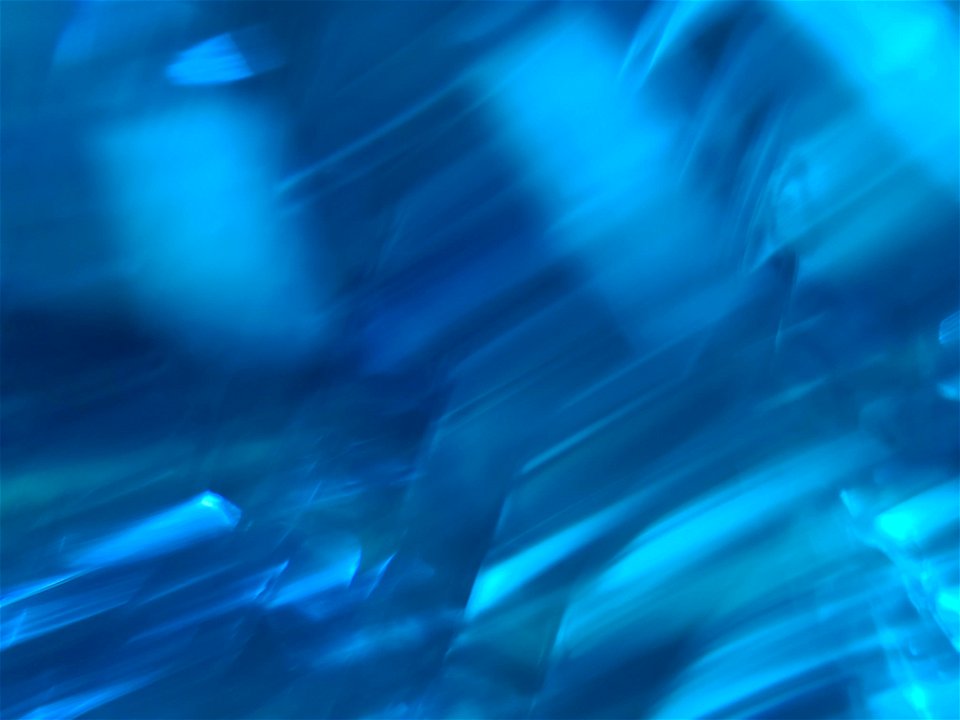 Aquatic Reflections