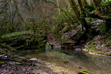19-02-2019 Riera de Milany i Salt del Roure