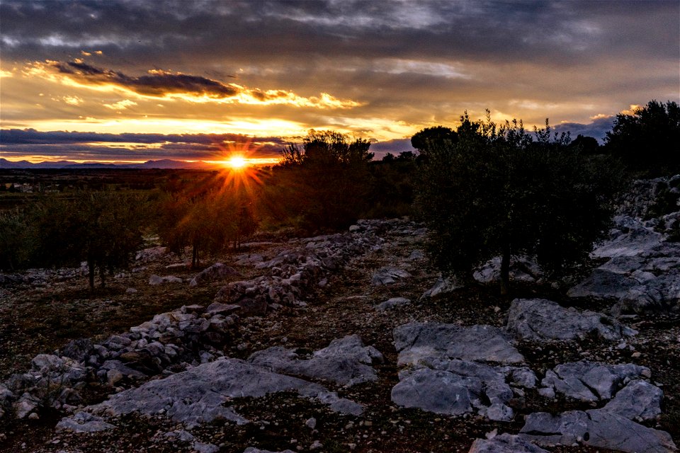 02-11-2019 La Garriga d'Avinyonet de Puigventós