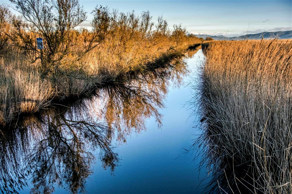 23-12-2019 Aiguamolls de l' Empordà