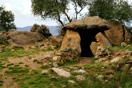 07-03-2021 Excursió per l' Albera
