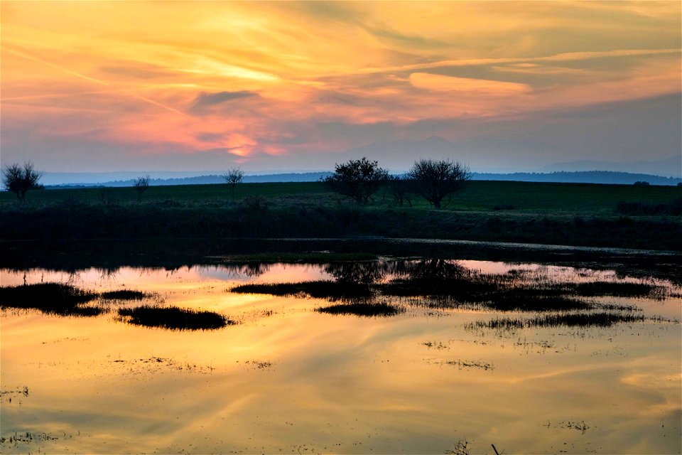 24-11-2020 Posta de sol a les basses de Delfià II