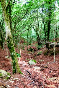 14-08-2018 Camí de l' Exili