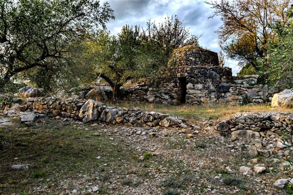 02-11-2019 La Garriga d'Avinyonet de Puigventós
