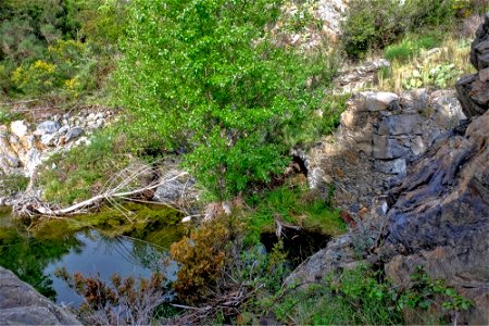 22-04-2016 Molinàs