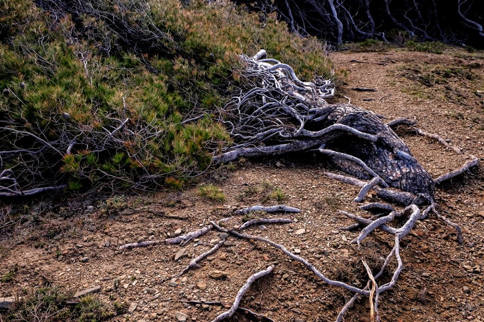 10-04-2019 Camí de Ronda de Llançà a Colera photo