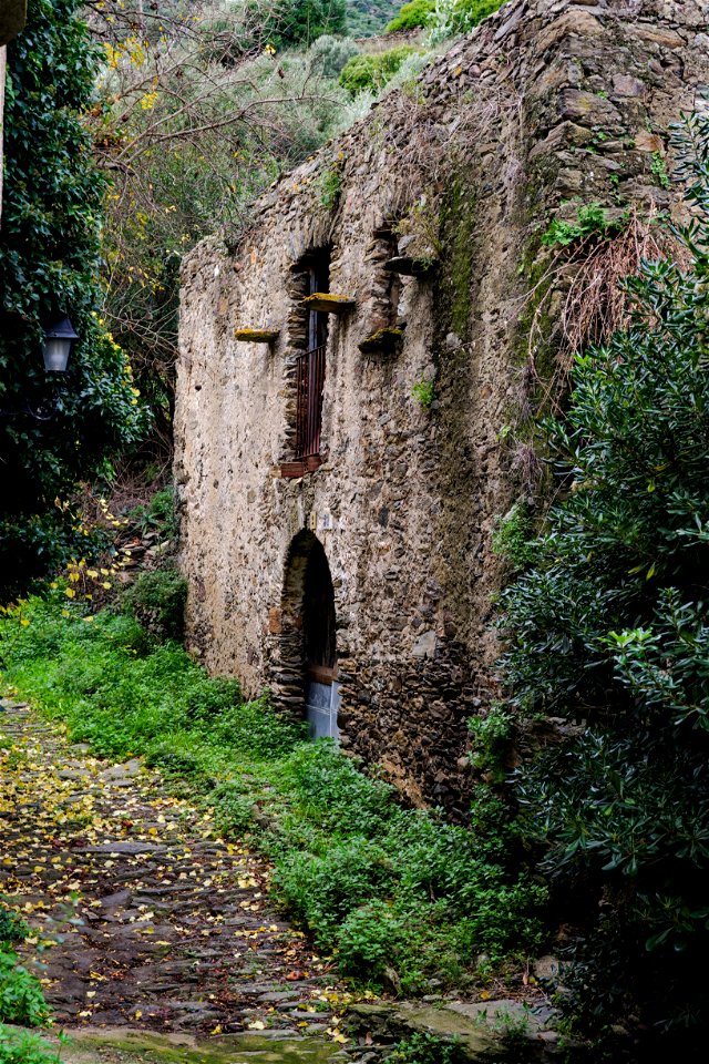 01-12-2020 Selva de Mar