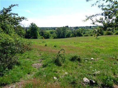 Tiffauges depuis Torfou