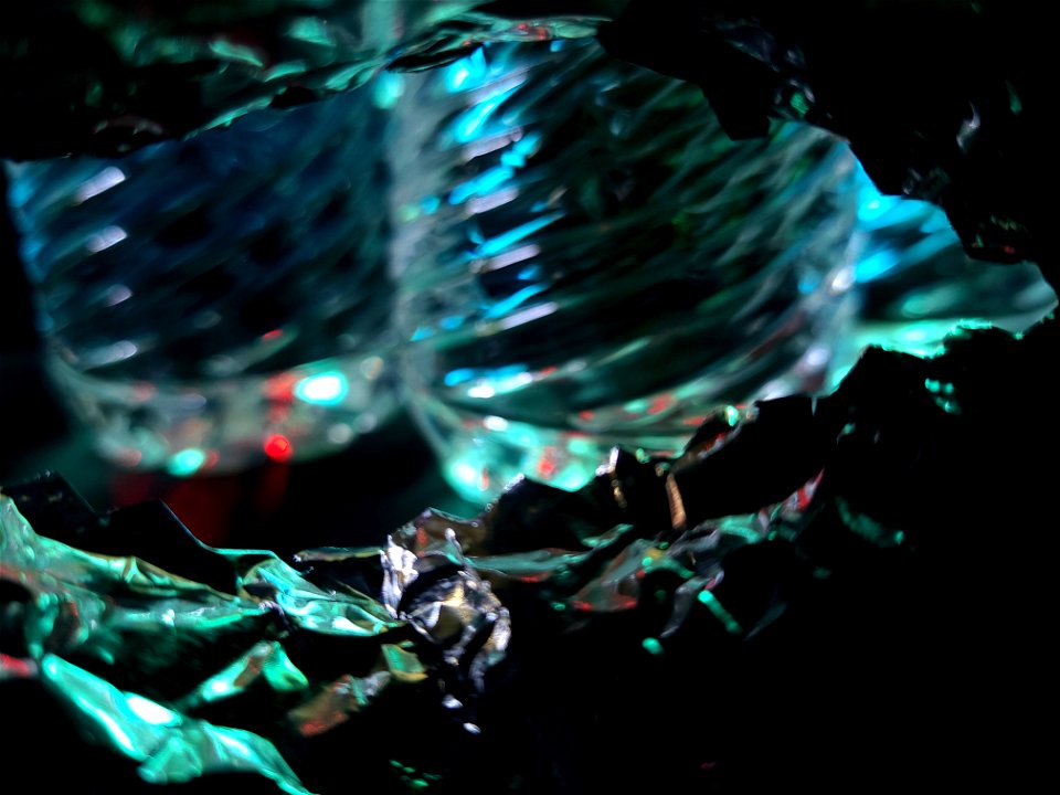 Aquatic Reflections