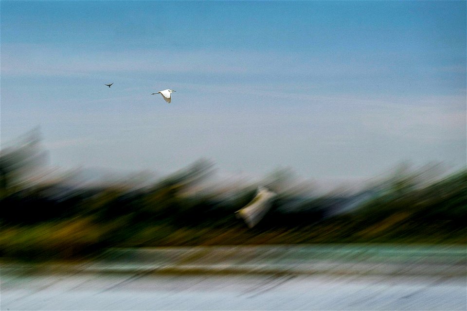 24-09-2020 Aiguamolls de l' Empordà