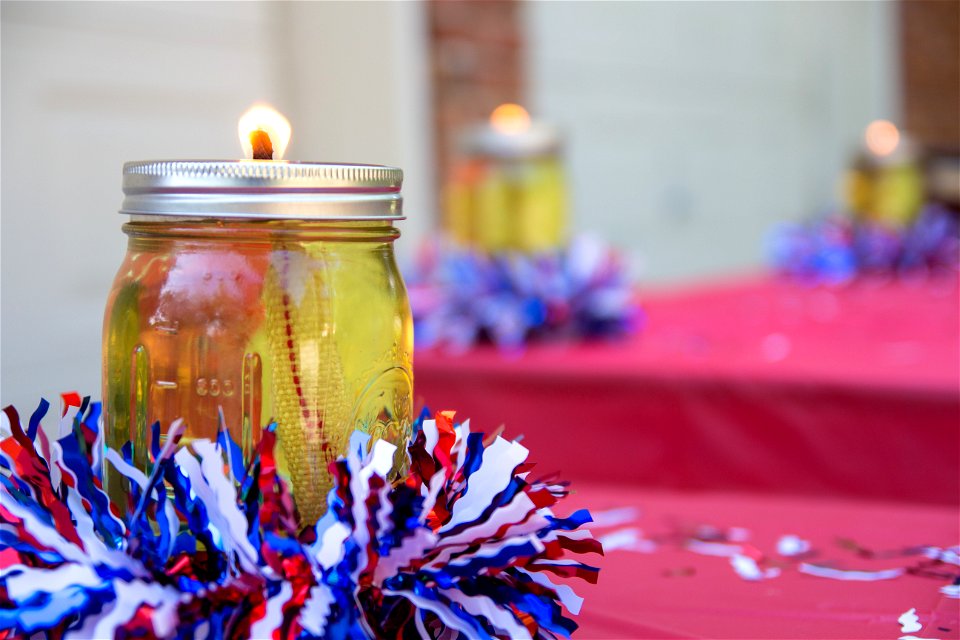 4th of July (12)
