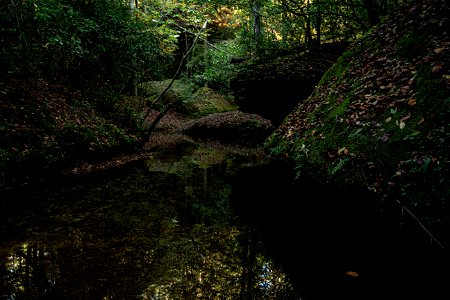 Dismals Canyon
