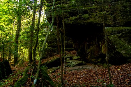 Dismals Canyon