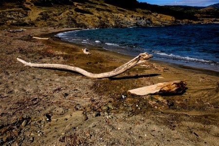 10-04-2019 Camí de Ronda de Llançà a Colera photo