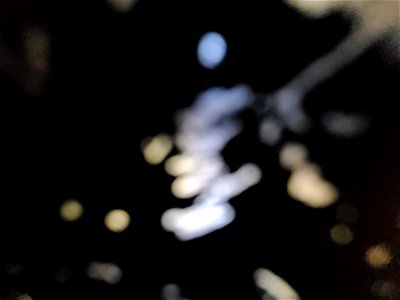 Abstract Flares and Textures