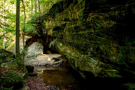 Dismals Canyon