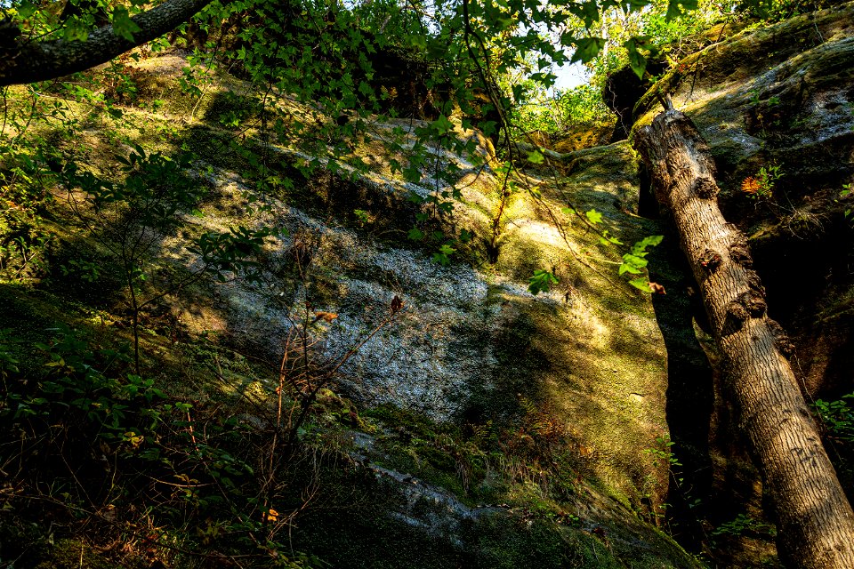 Dismals Canyon