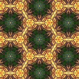 Pattern 765_20210629_235217