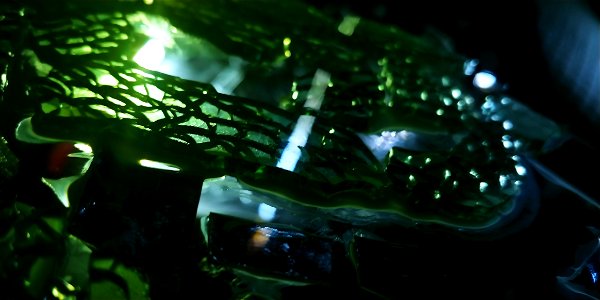 cinematic glass bokeh-053