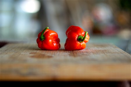 Hot Peppers photo