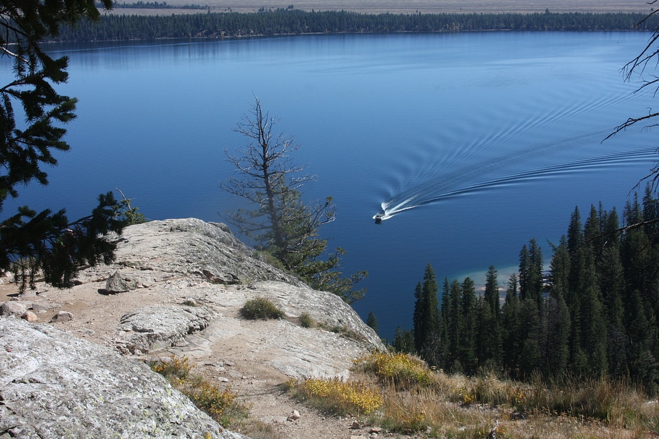 Beautiful geyser in yellowstone national park