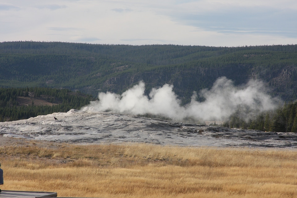 Beautiful geyser in yellowstone national park