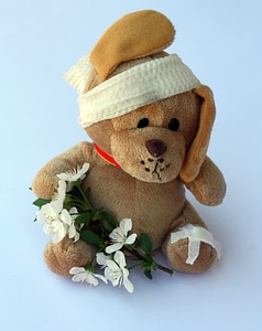 Ill injured fever