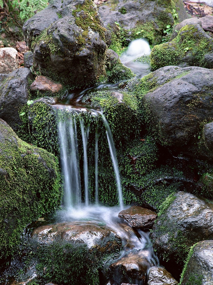 Nature wonderland, waterfall in forest