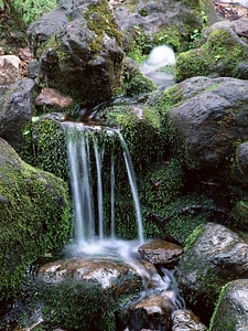 Nature wonderland, waterfall in forest