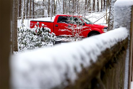 Winter Snow