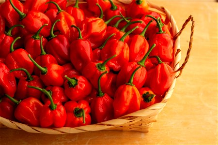 Hot Peppers photo