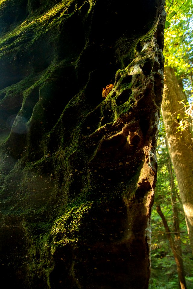 Dismals Canyon