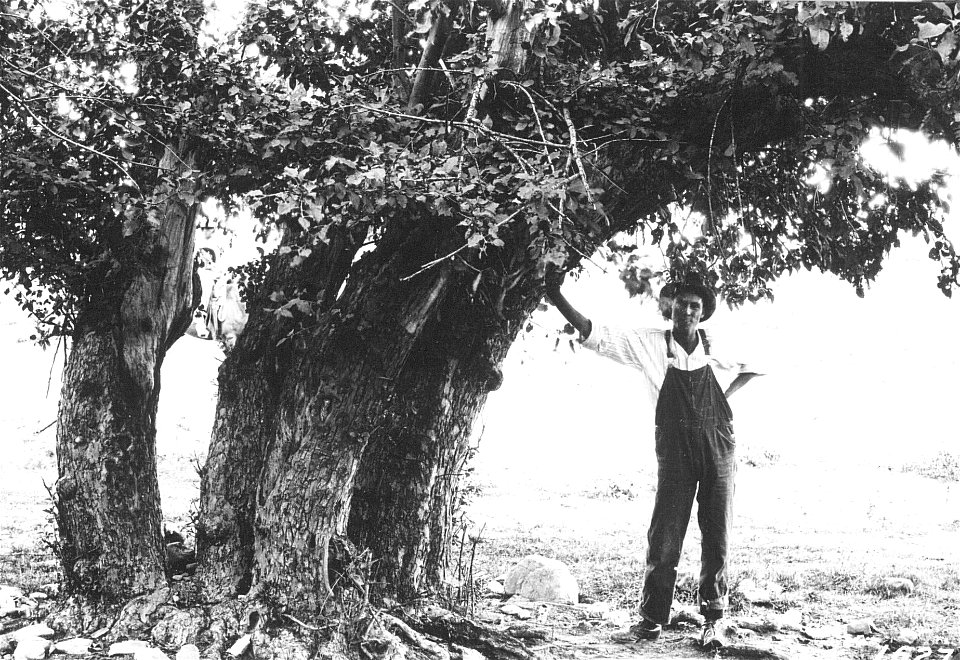 Historic Photo - Cibola NF & NGs