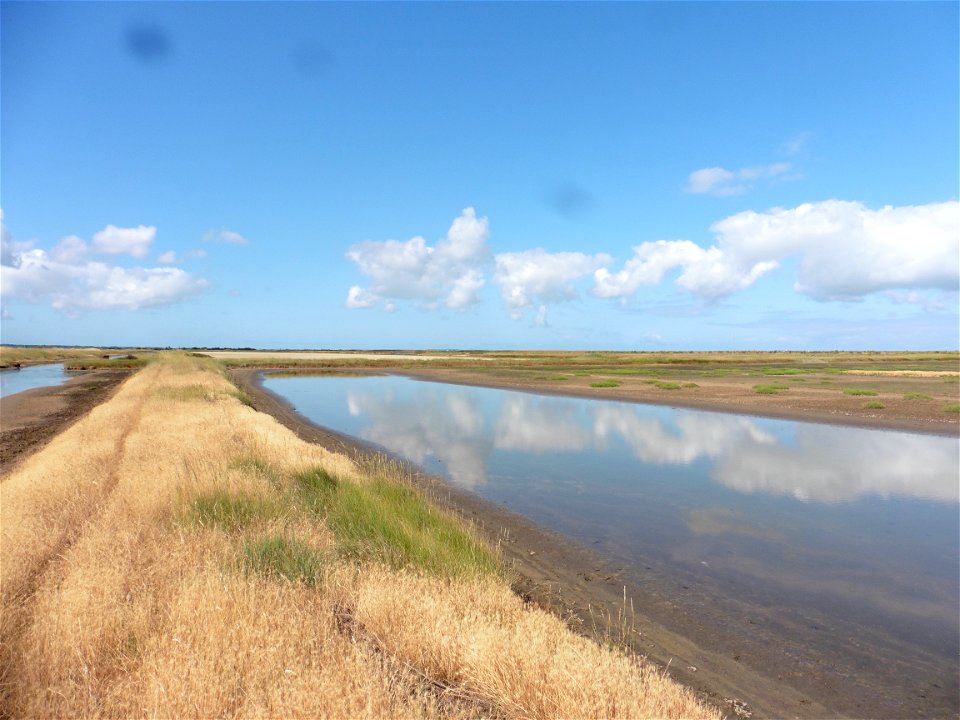 Littoral charentais, Oléron, Moëze