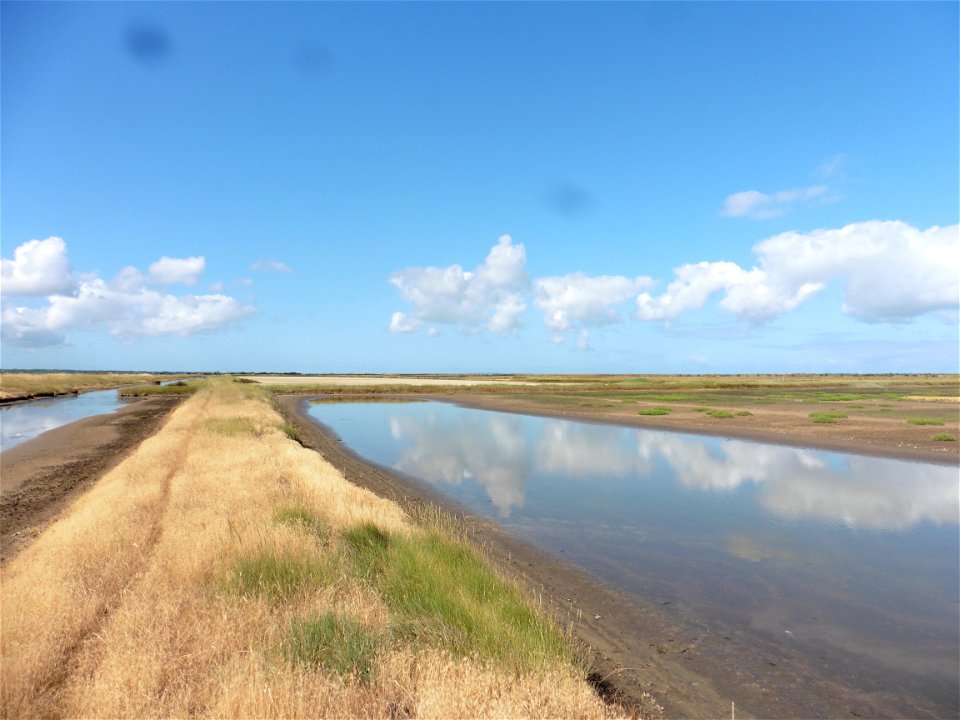 Littoral charentais, Oléron, Moëze