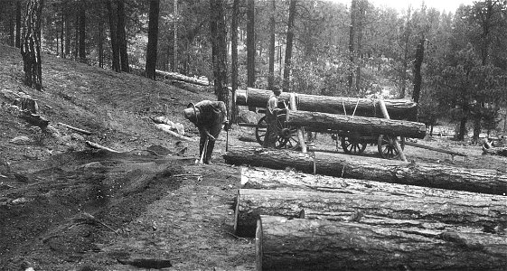 Historic Photos Cibola NF & NGs
