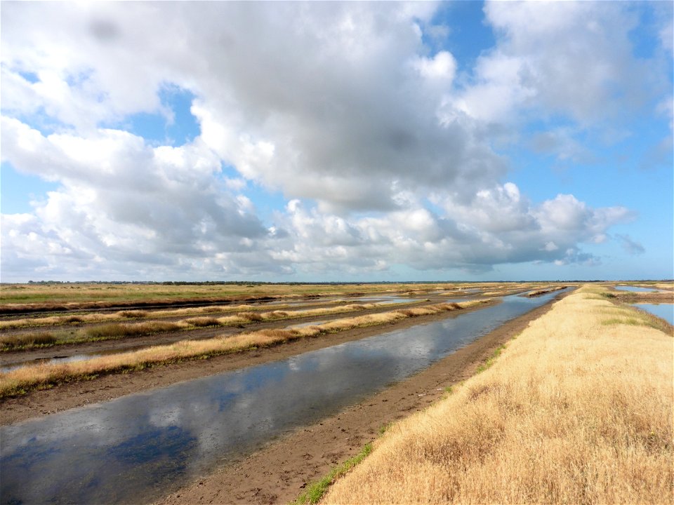 Littoral charentais, Oléron, Moëze