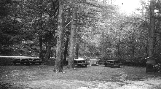 Historic Photo Cibola NF & NGs