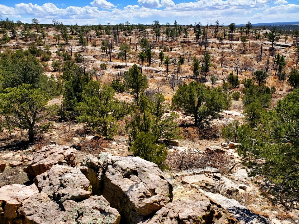 Kiowa National Grassland