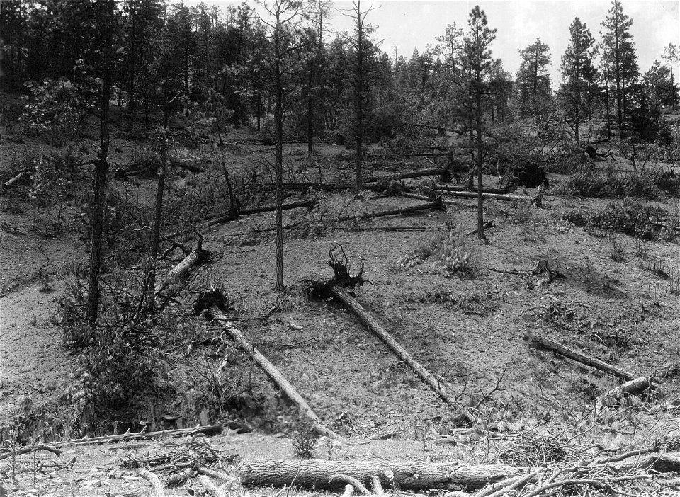 Historic Photo Cibola NF & NGs