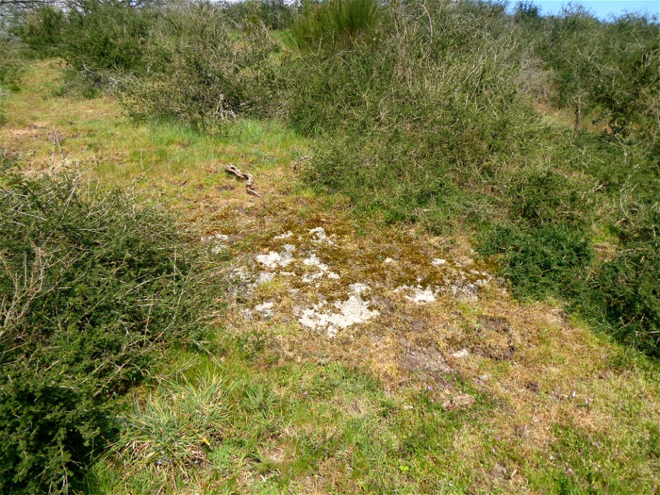 Vallée des Amourettes, Vendée