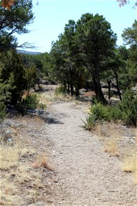 Sandia Ranger District - Coyote Recreation Area