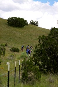 Repair Work to Quail habitat fencing